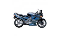 Compra Carenados Kawasaki ZZR600 1998-2003