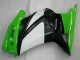 ABS Moto Plástico Kawasaki EX250 08-12 - Verde Negro Ninja ABS Moto Plástico Kawasaki EX250 08-12 - Verde Negro Ninja
