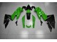 ABS Moto Plástico Kawasaki EX650 09-11 - Verde Negro ABS Moto Plástico Kawasaki EX650 09-11 - Verde Negro