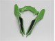 ABS Moto Plásticos Kawasaki EX300 13-16 - Verde Negro ABS Moto Plásticos Kawasaki EX300 13-16 - Verde Negro