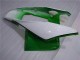 Carenado Moto Honda CBR 1000 RR 04-05 - Verde Blanco Carenado Moto Honda CBR 1000 RR 04-05 - Verde Blanco