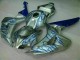 Carenado Moto Honda CBR 1000 RR 06-07 - Azul Llama Plata Carenado Moto Honda CBR 1000 RR 06-07 - Azul Llama Plata