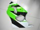 Carenado Moto Kawasaki ZX6R 00-02 - Verde Blanco Negro Carenado Moto Kawasaki ZX6R 00-02 - Verde Blanco Negro