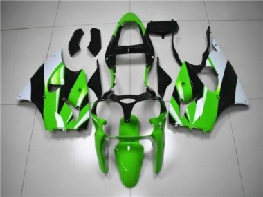 Carenado Moto Kawasaki ZX6R 00-02 - Verde Blanco Negro