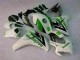 Carenado Moto & Plástico Honda CBR 1000 RR 08-11 - Verde Blanco Carenado Moto & Plástico Honda CBR 1000 RR 08-11 - Verde Blanco
