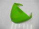 Carenados Moto Kawasaki ZX6R 05-06 - Verde Carenados Moto Kawasaki ZX6R 05-06 - Verde