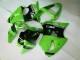 Inyección Kit Carenado Moto Kawasaki ZX6R 00-02 - Verde Negro Inyección Kit Carenado Moto Kawasaki ZX6R 00-02 - Verde Negro