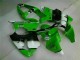 Inyección Kits Carenado Moto Kawasaki ZX6R 00-02 - Verde Negro