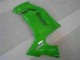 Kits Carenado Moto Kawasaki EX650 06-08 - Verde Kits Carenado Moto Kawasaki EX650 06-08 - Verde