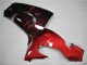 Compra Carenado Moto Kawasaki ZX10R 2006-2007 - Negro Brillante Rojo Llama
