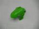 Compra Carenados Moto Kawasaki Ninja 300 EX300R 2013-2024 - Blanco Verde Negro