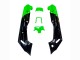 Compra Carenados Moto Kawasaki ZZR600 1998-2003 - Verde Negro Monstruo Elf