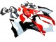 Compra Kits Carenado Moto Ducati Panigale V2 2020-2024 - Blanco Rojo Negro Brillante