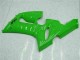 Compra Carenado Moto Kawasaki ZX6R 2005-2006 - Verde