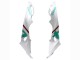 Compra Carenados Moto BMW S1000RR 2015-2016 - Blanco Verde Negro