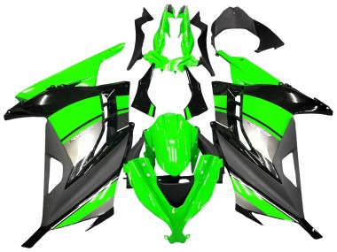 Compra Carenados Moto Kawasaki EX300 2013-2024 - Verde Plata Negro