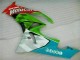 Compra Carenados Moto Kawasaki ZX6R 2009-2012 - Verde Blanco Rojo Negro Azul Motocard