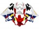 Compra Carenados Moto Honda CBR900RR 919 1998-1999 - Blanco Rojo Amarillo Azul