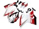 Compra Carenados Moto Ducati 1199 2011-2014 - Blanco Rojo Verde Negro Brillante