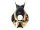 Compra Carenados Moto Honda CBR1000RR 2006-2007 - Oro Negro Brillante