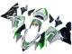 Compra Carenados Moto Kawasaki ZX10R 2004-2005 - Verde Plata Negro 69