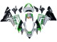 Compra Carenados Moto Kawasaki ZX10R 2004-2005 - Verde Plata Negro 69