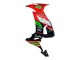 Compra Carenados Moto Kawasaki ZX10R 2008-2010 - Rojo Verde Negro