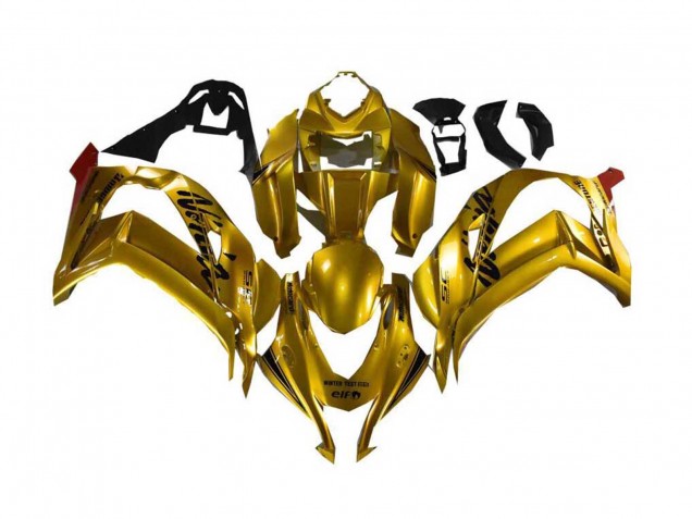 Compra Carenado Moto Kawasaki ZX10R 2016-2020 - Oro Negro