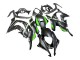 Compra Carenados Moto Kawasaki ZX10R 2016-2020 - Negro Mate Verde Blanco Ninja