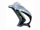 Compra Carenado Moto Kawasaki ZX10R 2016-2020 - Plata Verde Negro