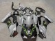 Compra Carenados Moto Kawasaki ZX10R 2021-2025 - Gris Negro Mate Verde Blanco Elf Nieve Monstruo