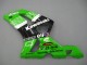 Compra Carenados Moto Kawasaki ZX6R 2003-2004 - Verde Blanco Negro Elf Bridgestone
