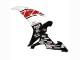 Compra Carenados Moto Yamaha YZF 1000 R1 2002-2003 - Blanco Rojo Negro Castrol