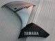Compra Carenado Moto Yamaha YZF 1000 R1 2009-2011 - Plata Negro