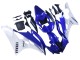 Compra Carenados Moto Yamaha YZF 600 R6 2006-2007 - Blanco Azul Negro
