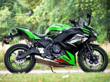 Compra Carenados Moto Kawasaki Ninja 650 EX650 2020-2025 - Verde Negro Rojo Honeycomb
