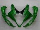 Plástica Moto Suzuki GSXR 1000 K5 05-06 - Verde