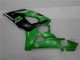 Plástica Moto Suzuki GSXR 1000 K5 05-06 - Verde
