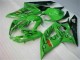 Plástico Moto Suzuki GSXR 1000 K5 05-06 - Verde Plástico Moto Suzuki GSXR 1000 K5 05-06 - Verde